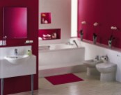 beautiful-bathrooms-13